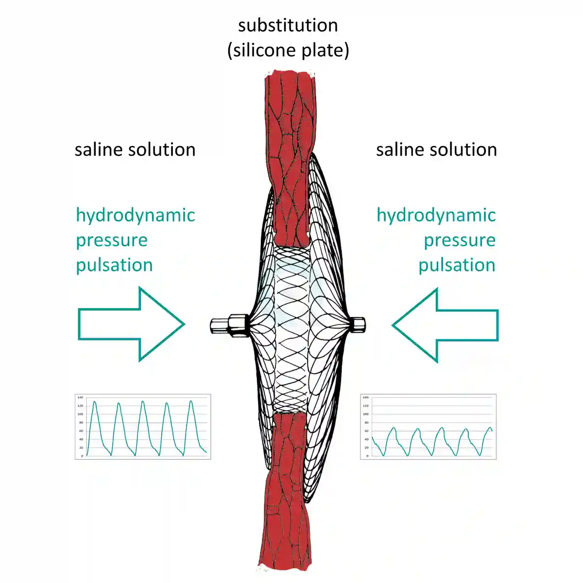 Occluder hydrodynamic test principle